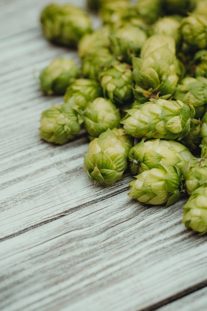 Fresh Hops